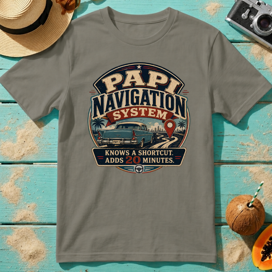 Papi Navigation System - Knows A Shortcut
